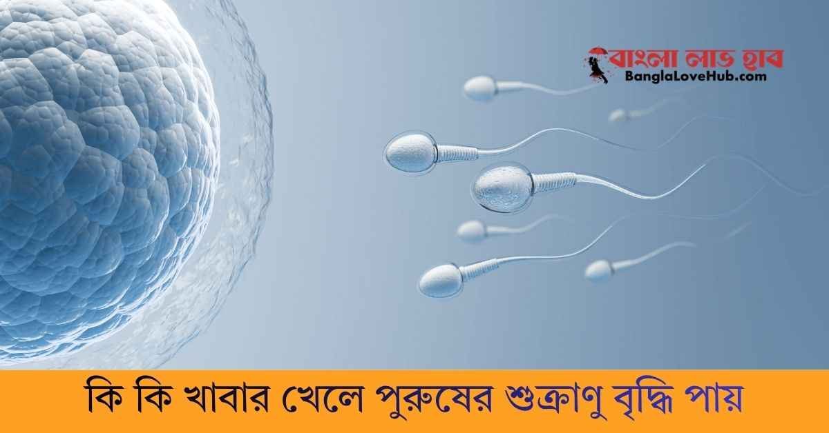 কি কি খাবার খেলে পুরুষের শুক্রাণু বৃদ্ধি পায়