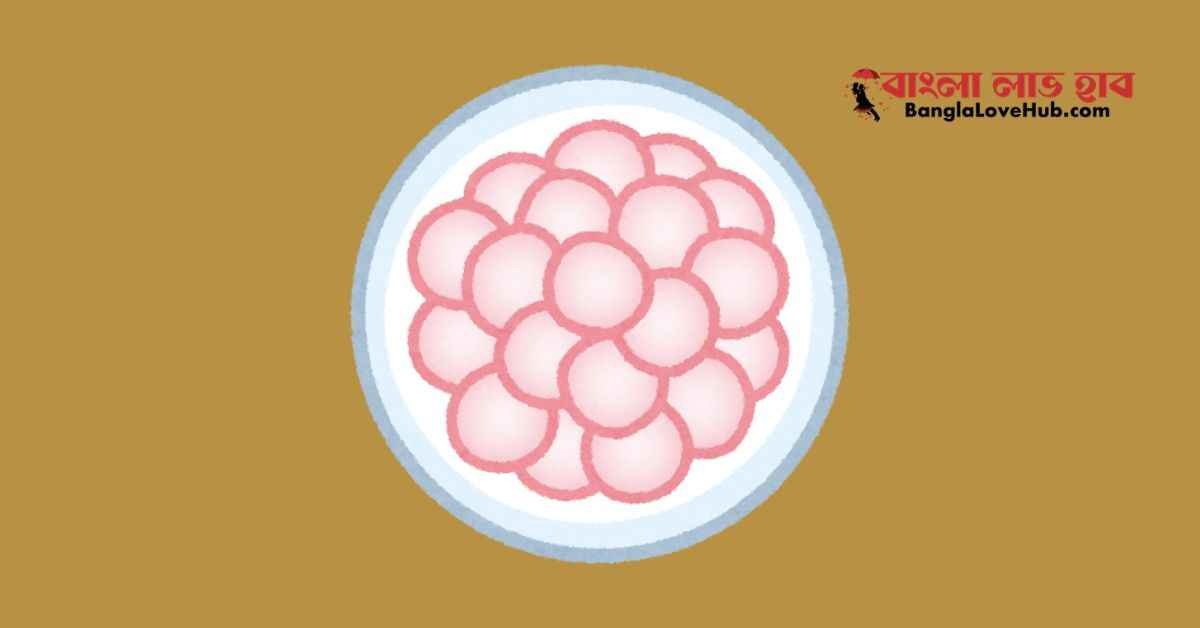 মেয়েদের ডিম্বাণু বৃদ্ধির উপায়