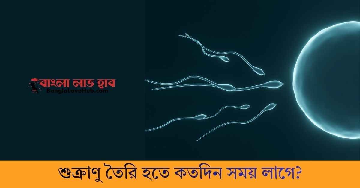 শুক্রাণু তৈরি হতে কতদিন সময় লাগে