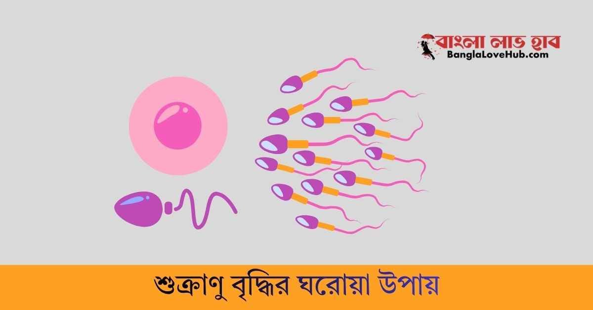 শুক্রাণু বৃদ্ধির ঘরোয়া উপায়